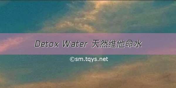 Detox Water 天然维他命水