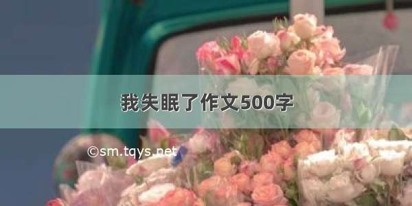 我失眠了作文500字