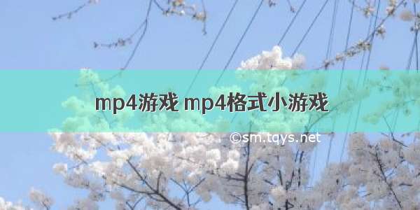 mp4游戏 mp4格式小游戏