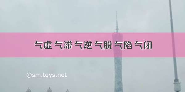 气虚 气滞 气逆 气脱 气陷 气闭