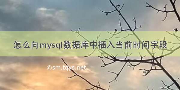 怎么向mysql数据库中插入当前时间字段