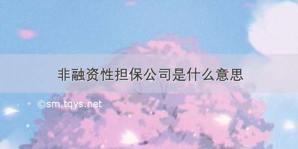 非融资性担保公司是什么意思