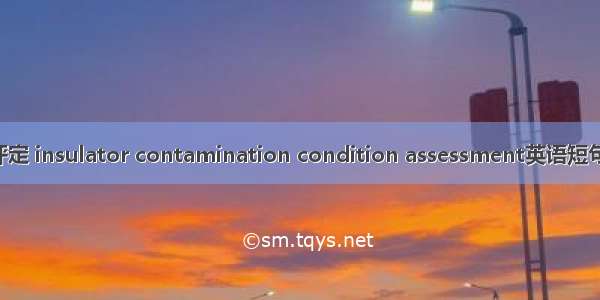 污秽程度评定 insulator contamination condition assessment英语短句 例句大全