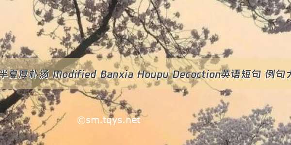 加味半夏厚朴汤 Modified Banxia Houpu Decoction英语短句 例句大全