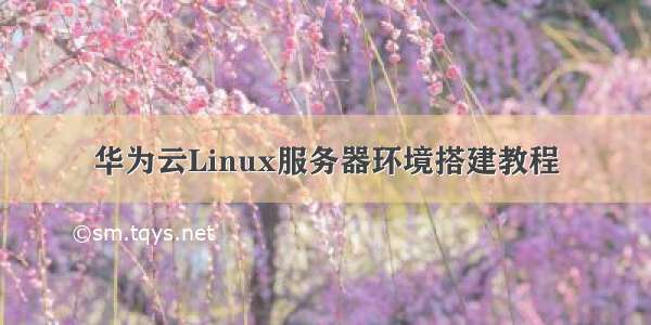 华为云Linux服务器环境搭建教程