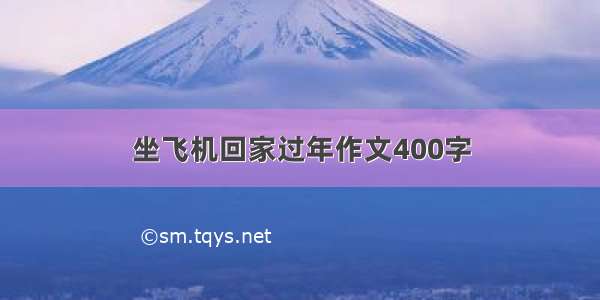 坐飞机回家过年作文400字