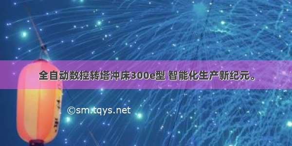 全自动数控转塔冲床300e型 智能化生产新纪元。