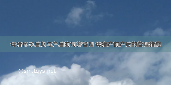 母猪怀孕后期与产后的饲养管理 母猪产前产后的管理措施