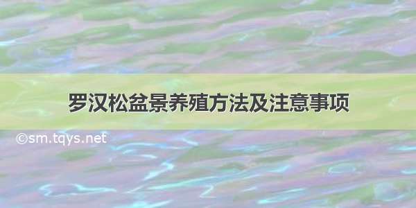 罗汉松盆景养殖方法及注意事项