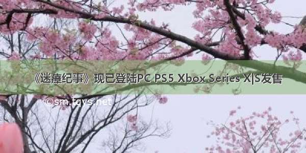 《迷瘴纪事》现已登陆PC PS5 Xbox Series X|S发售