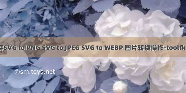 SVG转换 支持SVG to PNG SVG to JPEG SVG to WEBP 图片转换操作-toolfk程序员工具网