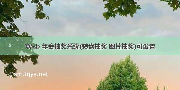 Web 年会抽奖系统(转盘抽奖 图片抽奖)可设置