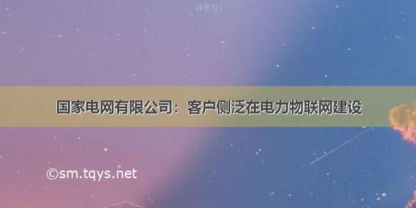 国家电网有限公司：客户侧泛在电力物联网建设