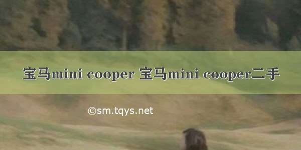 宝马mini cooper 宝马mini cooper二手