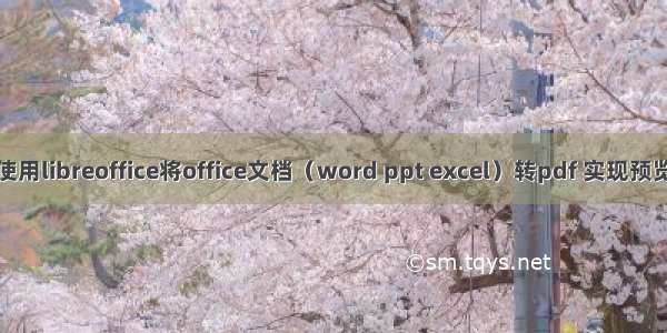 使用libreoffice将office文档（word ppt excel）转pdf 实现预览