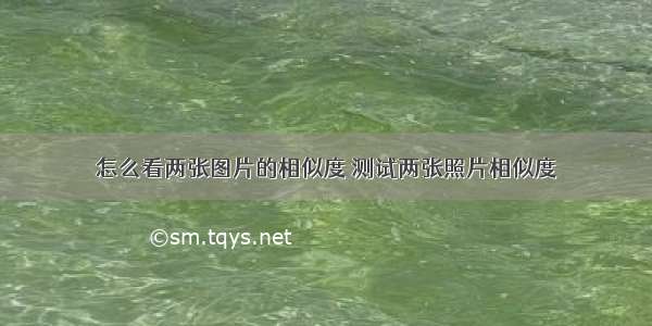 怎么看两张图片的相似度 测试两张照片相似度