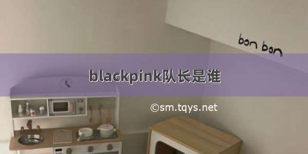 blackpink队长是谁