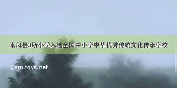 来凤县3所小学入选全国中小学中华优秀传统文化传承学校