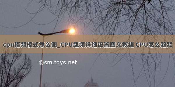 cpu倍频模式怎么调_CPU超频详细设置图文教程 CPU怎么超频