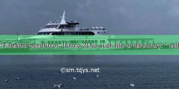 问题 | FileNotFoundError: [Errno 2] No such file or directory: 'null'