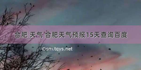 合肥 天气 合肥天气预报15天查询百度