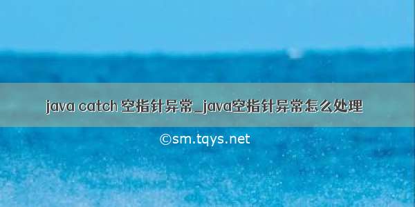 java catch 空指针异常_java空指针异常怎么处理