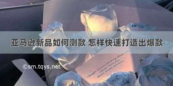 亚马逊新品如何测款 怎样快速打造出爆款