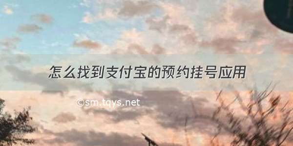 怎么找到支付宝的预约挂号应用