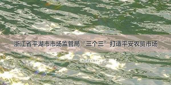 浙江省平湖市市场监管局“三个三”打造平安农贸市场