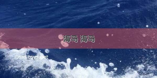 海马 海马