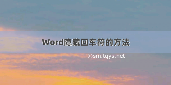 Word隐藏回车符的方法