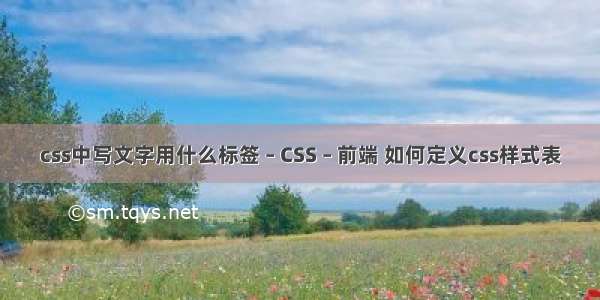 css中写文字用什么标签 – CSS – 前端 如何定义css样式表