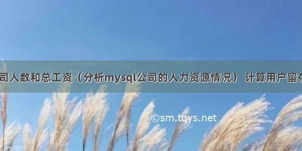 mysql 公司人数和总工资（分析mysql公司的人力资源情况） 计算用户留存率mysql