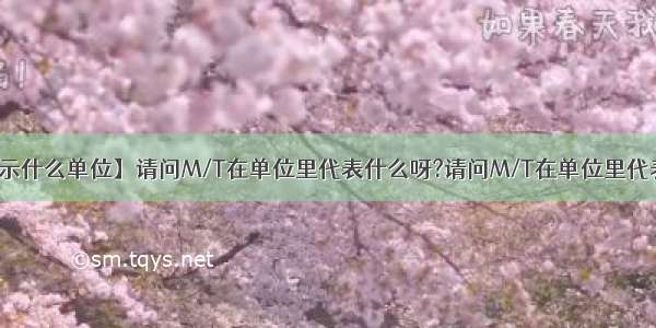 【t表示什么单位】请问M/T在单位里代表什么呀?请问M/T在单位里代表什么?