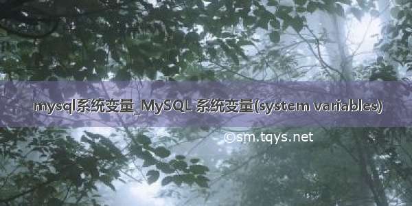 mysql系统变量_MySQL 系统变量(system variables)