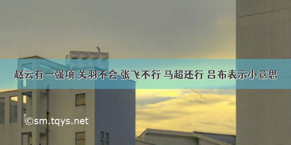 赵云有一强项 关羽不会 张飞不行 马超还行 吕布表示小意思