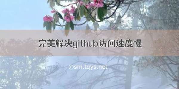 完美解决github访问速度慢