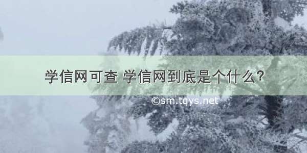 学信网可查 学信网到底是个什么？