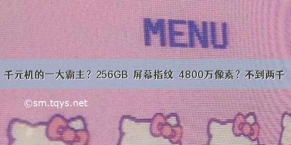 千元机的一大霸主？256GB＋屏幕指纹＋4800万像素？不到两千