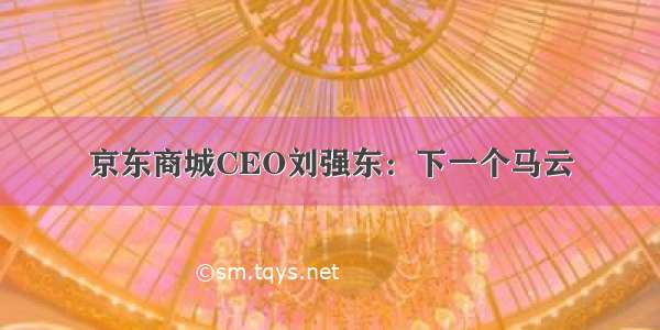 京东商城CEO刘强东：下一个马云