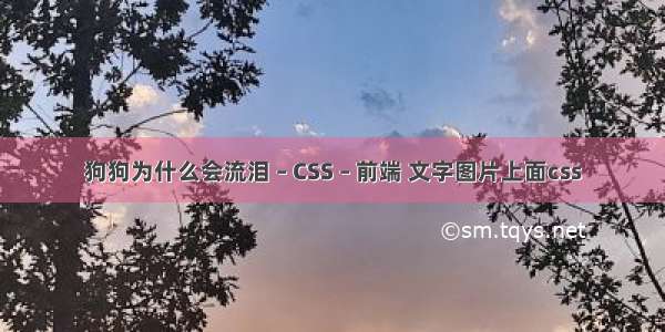 狗狗为什么会流泪 – CSS – 前端 文字图片上面css