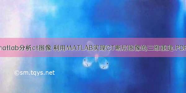 matlab分析ct图像 利用MATLAB实现CT断层图像的三维重建.PDF