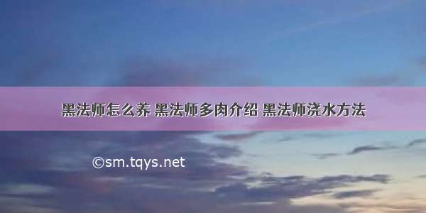 黑法师怎么养 黑法师多肉介绍 黑法师浇水方法