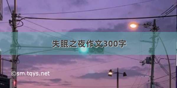 失眠之夜作文300字