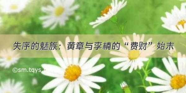 失序的魅族：黄章与李楠的“费财”始末