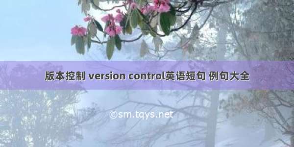 版本控制 version control英语短句 例句大全