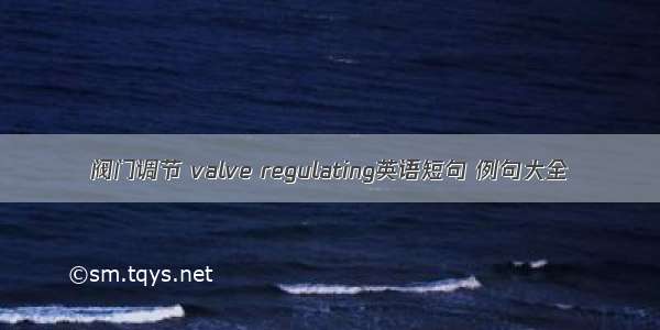 阀门调节 valve regulating英语短句 例句大全