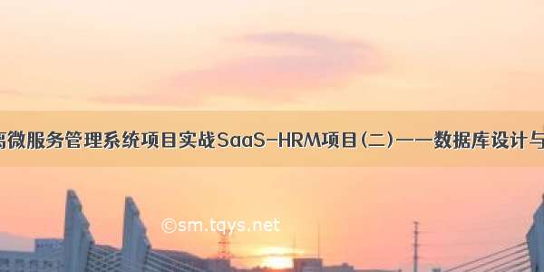 前后端分离微服务管理系统项目实战SaaS-HRM项目(二)——数据库设计与前端框架