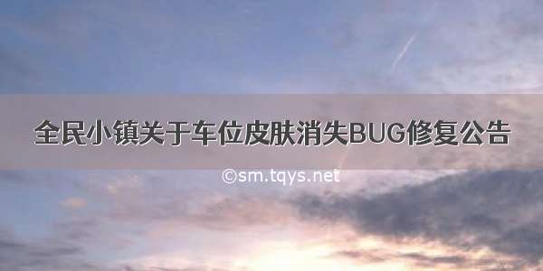 全民小镇关于车位皮肤消失BUG修复公告