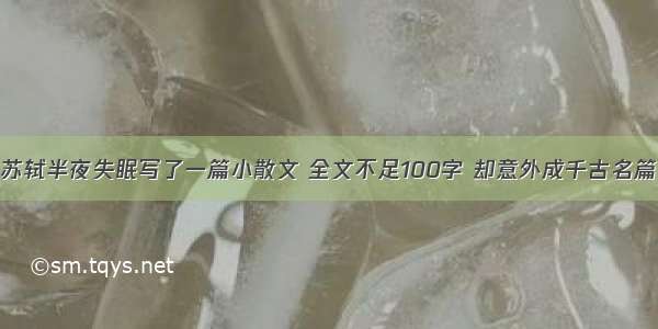 苏轼半夜失眠写了一篇小散文 全文不足100字 却意外成千古名篇